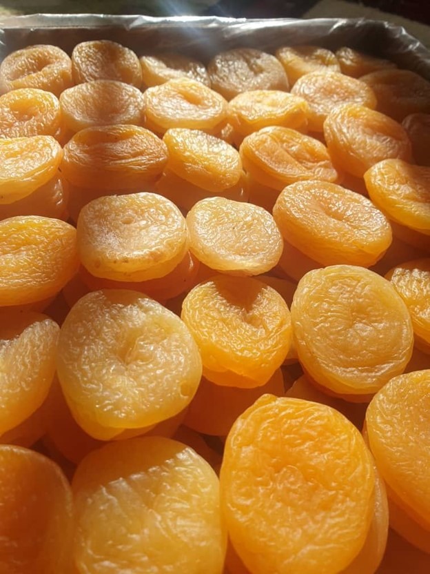 Dried Apricot Slider02
