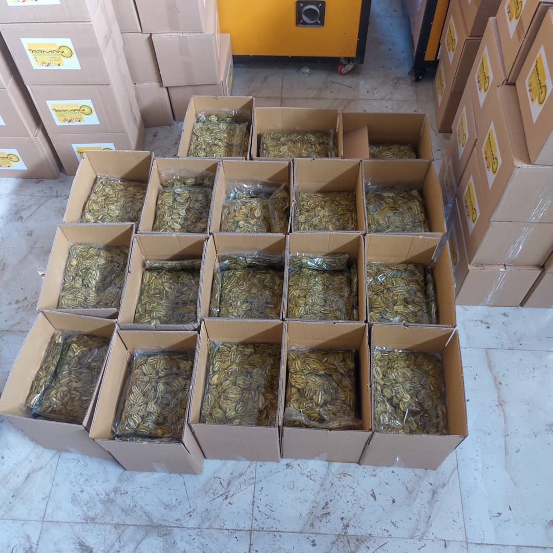 iranian dried fruit export